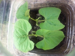 20130414-215038.jpg