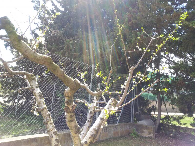 20130415_153116.jpg