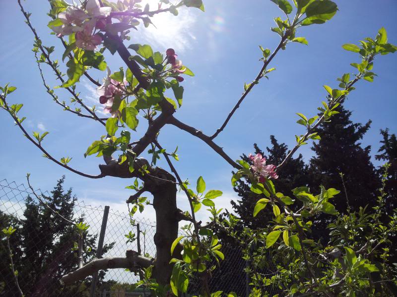 20130415_153135.jpg