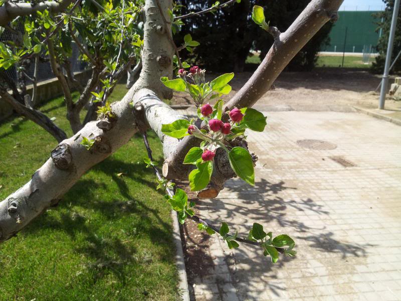 20130415_153147.jpg