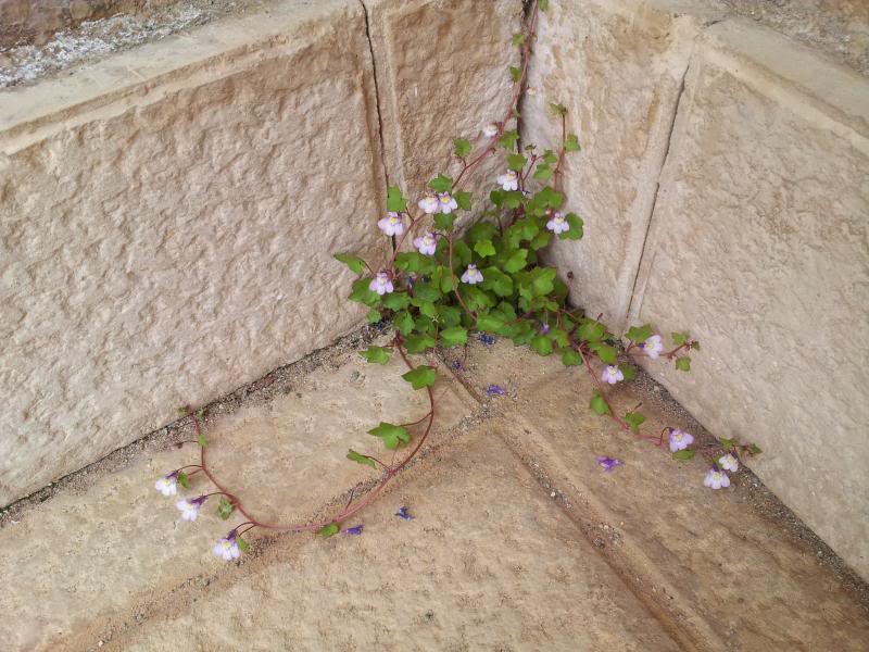 20130416_130832.jpg