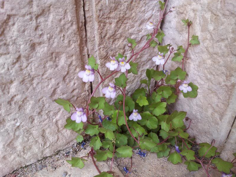 20130416_130843.jpg