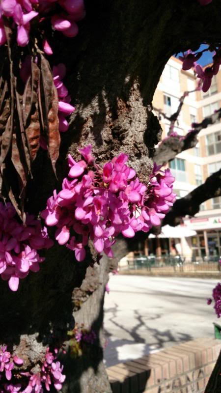 20130420112834.jpg