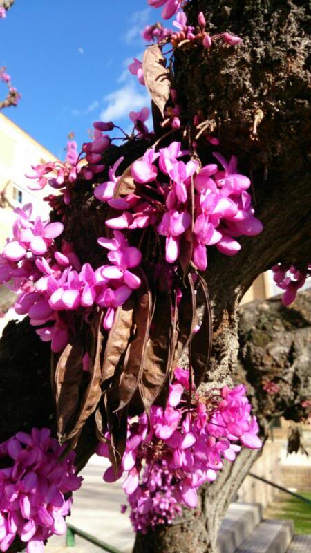 20130420112846.jpg
