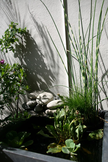 20130423_19.JPG