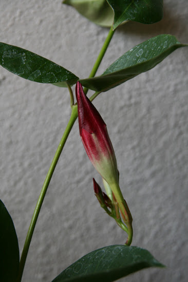 20130423_20.JPG