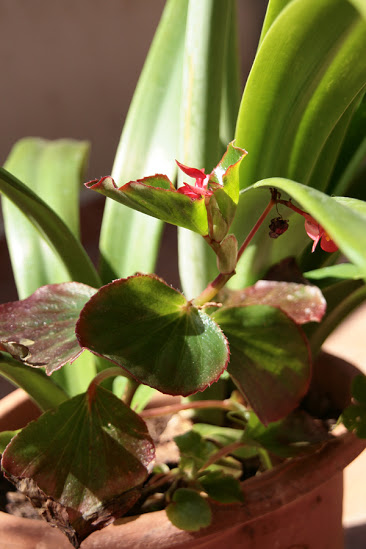 20130423_26.JPG
