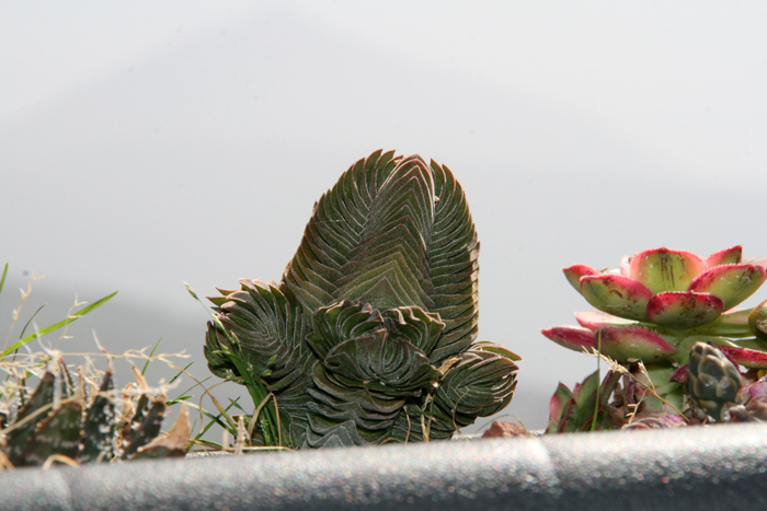 20130423_33.JPG