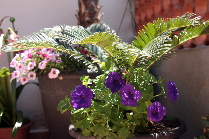 20130509_2.JPG