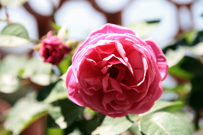 20130509_6.JPG