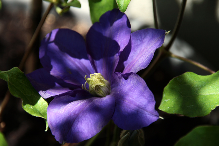 20130509_8.JPG