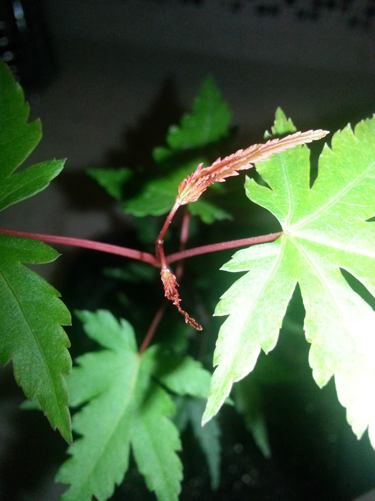 20130513_005906.jpg