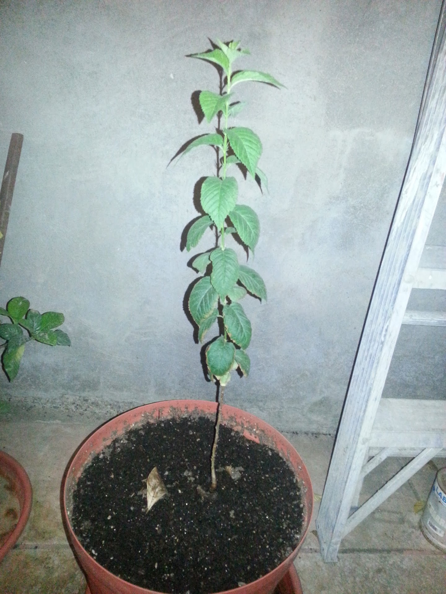 20130513_015034.jpg