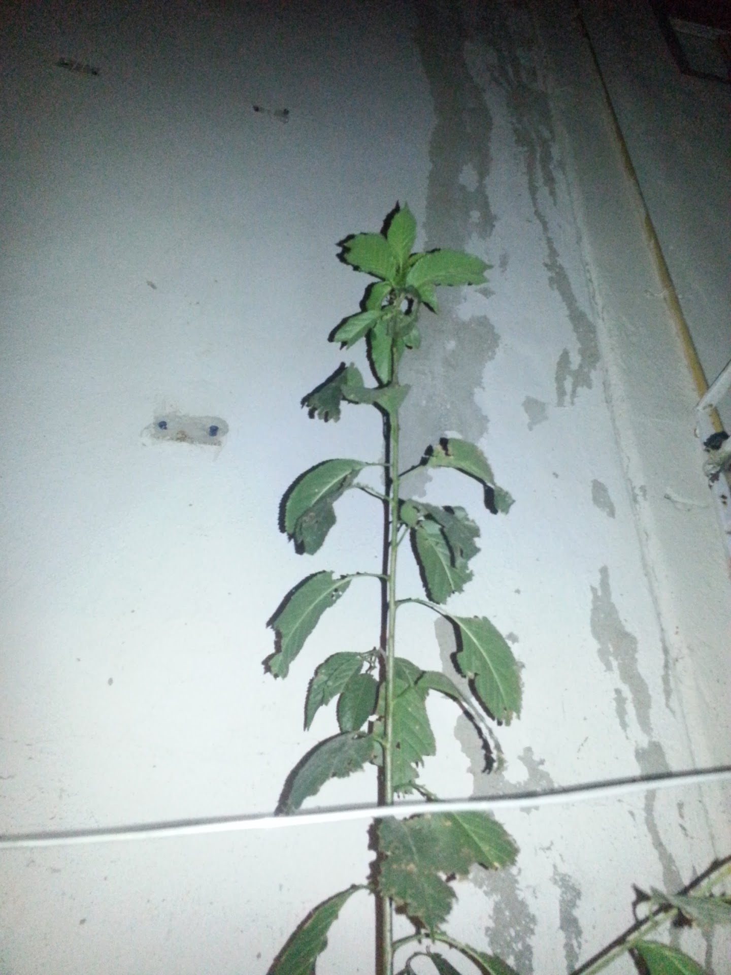 20130513_015311.jpg