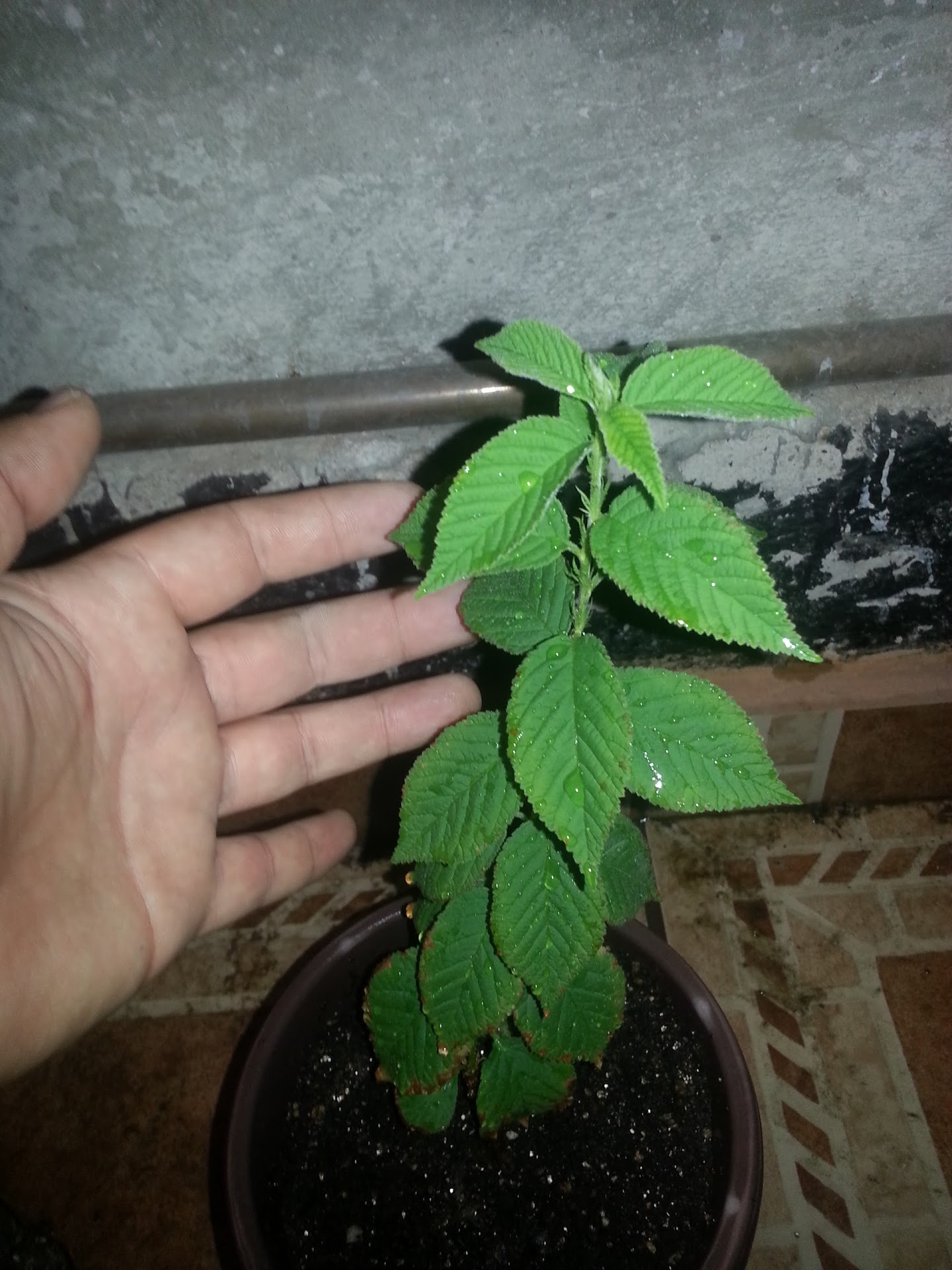 20130513_020309.jpg