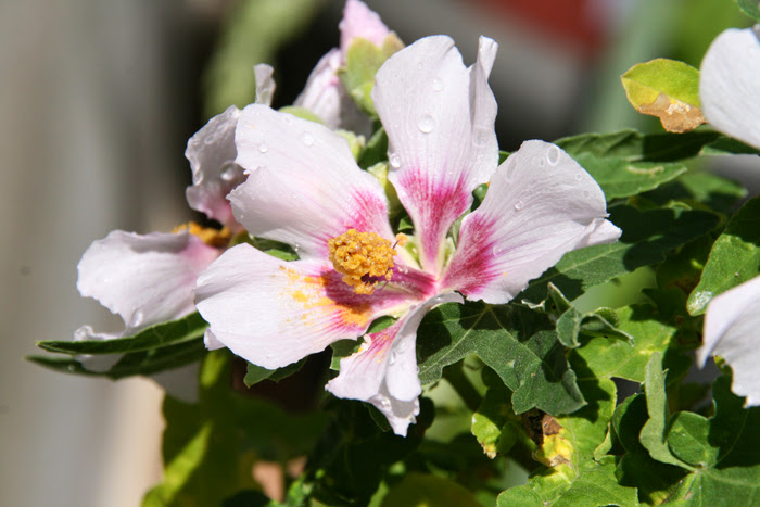 20130517_2.JPG