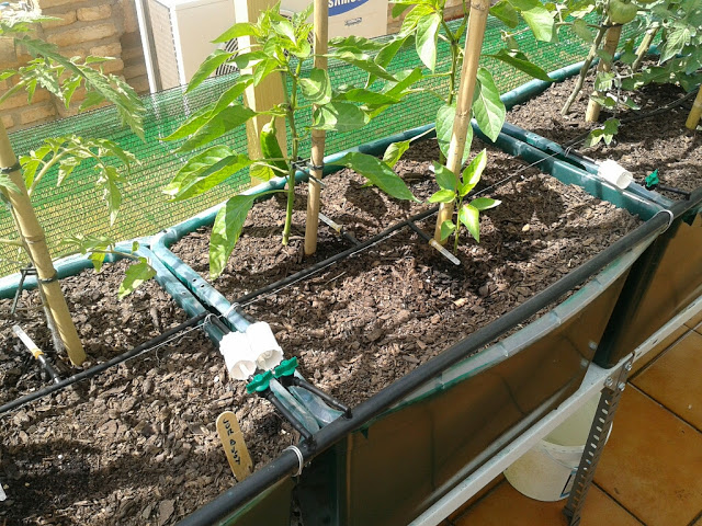 20130518_115751.jpg