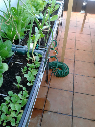 20130518_171025.jpg