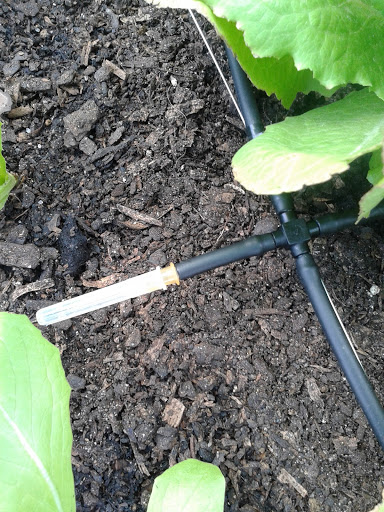 20130518_171106.jpg