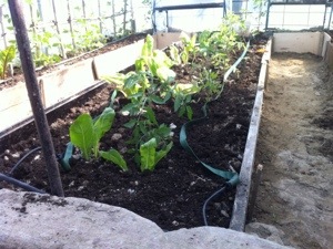 20130519-080937.jpg