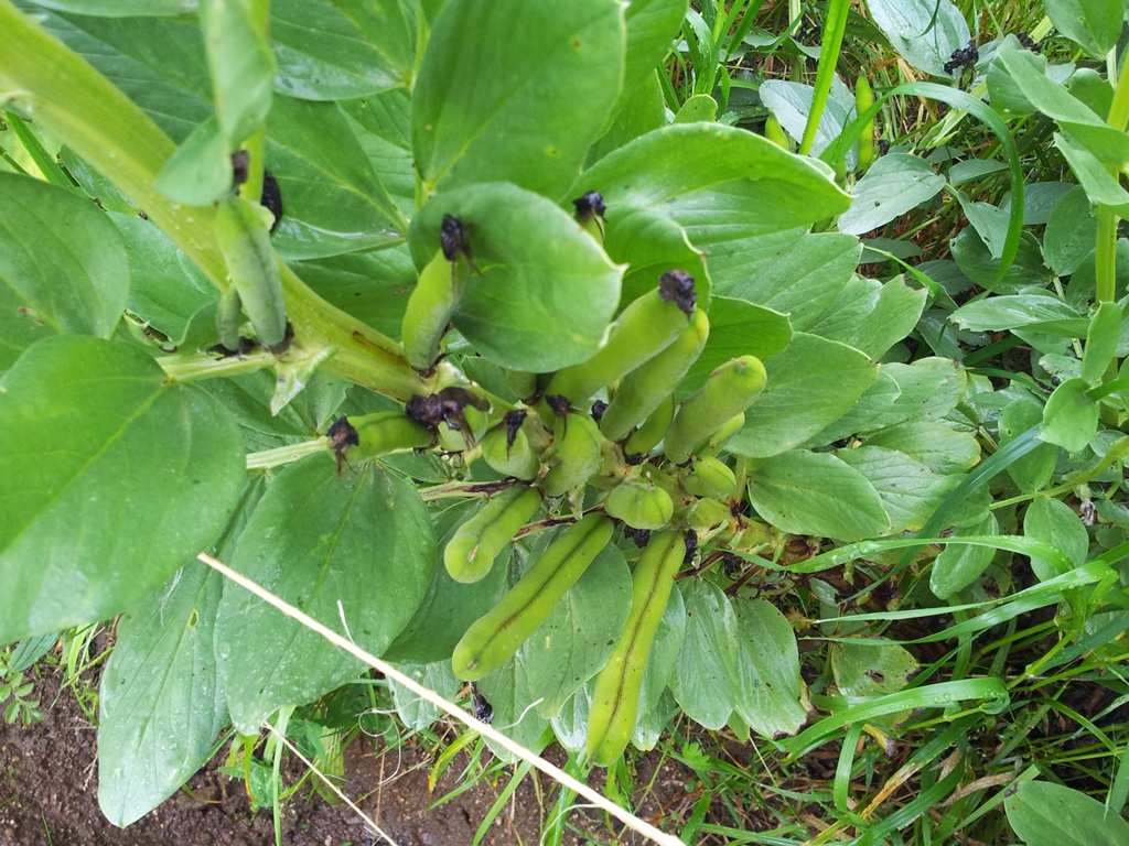 20130519_121859.jpg