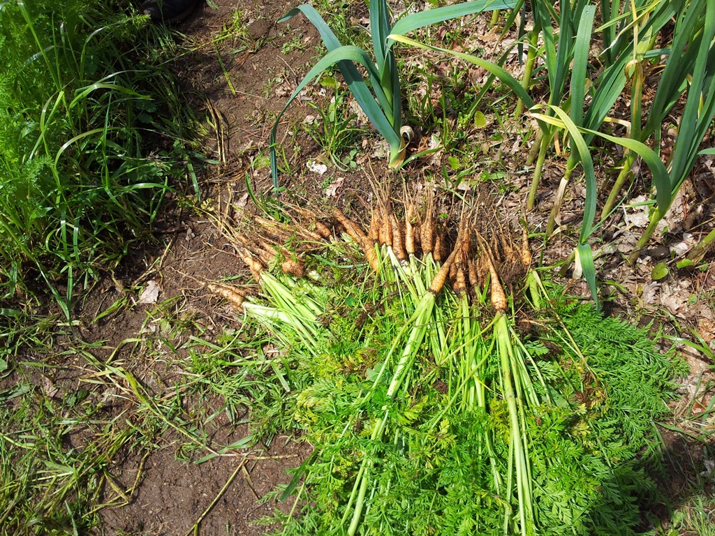 20130519_131600.jpg