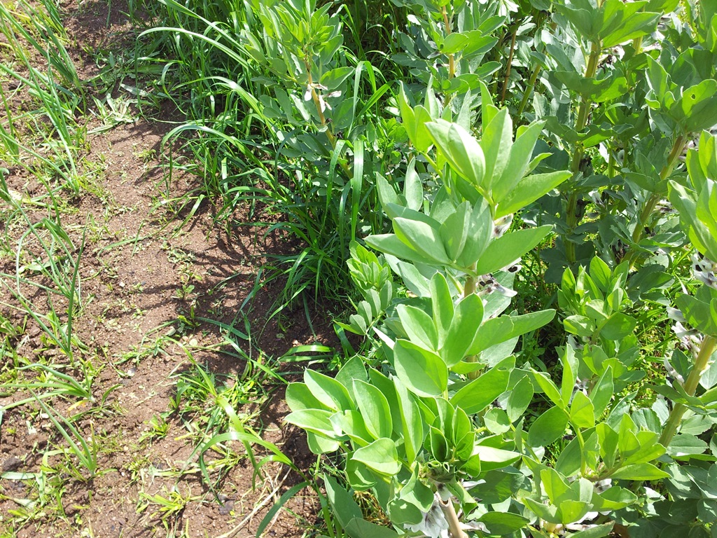 20130519_131629.jpg