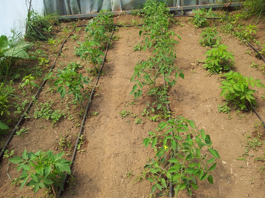 20130519_131720.jpg