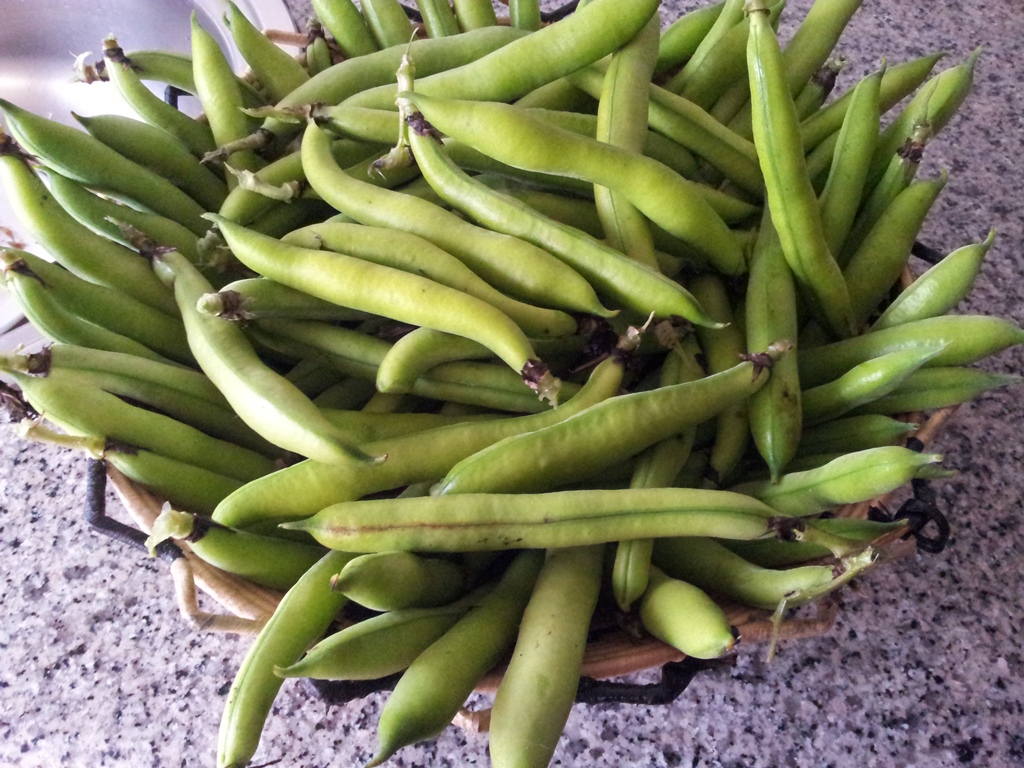 20130519_150633.jpg