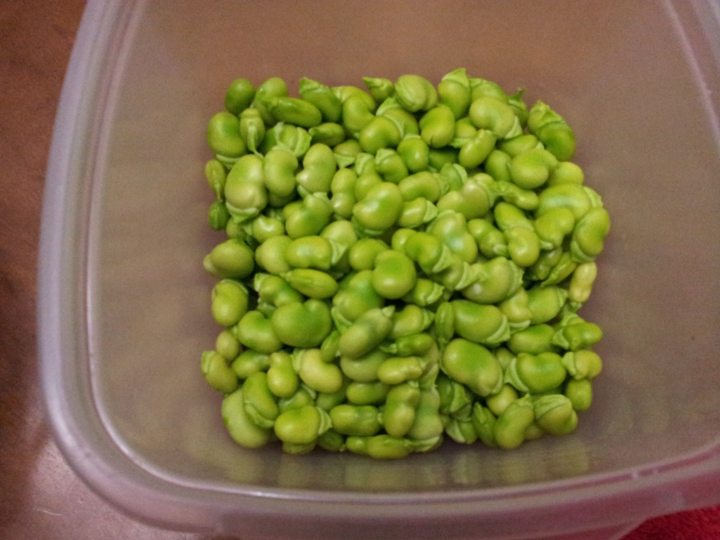20130519_190733.jpg