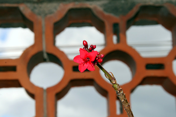 20130526_84.JPG