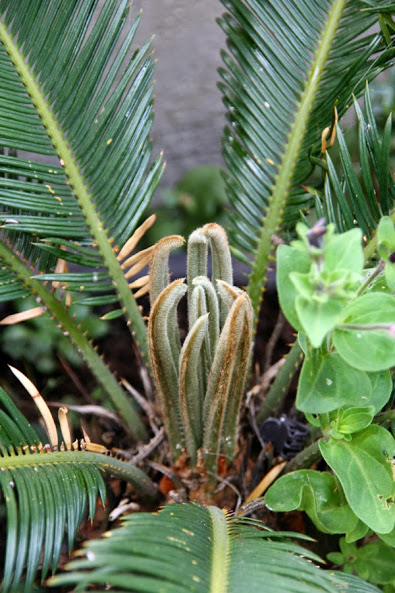 20130526_92.JPG