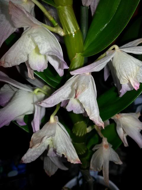 20130529_142602.jpg