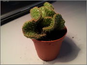 20130530_124305.jpg
