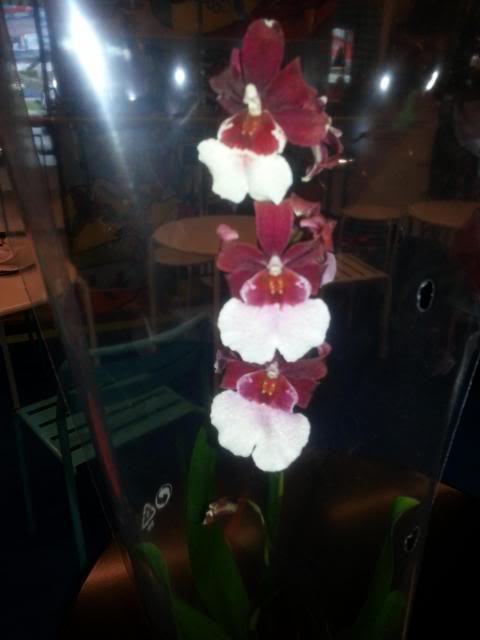 20130607_190649.jpg
