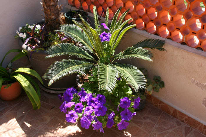 20130610_13.JPG