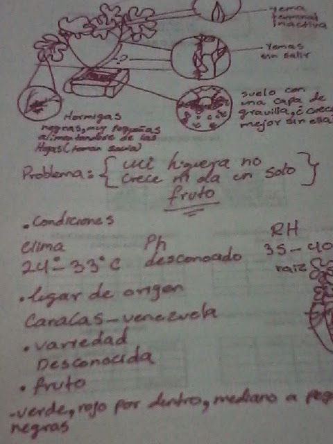 20130610_215935.jpg