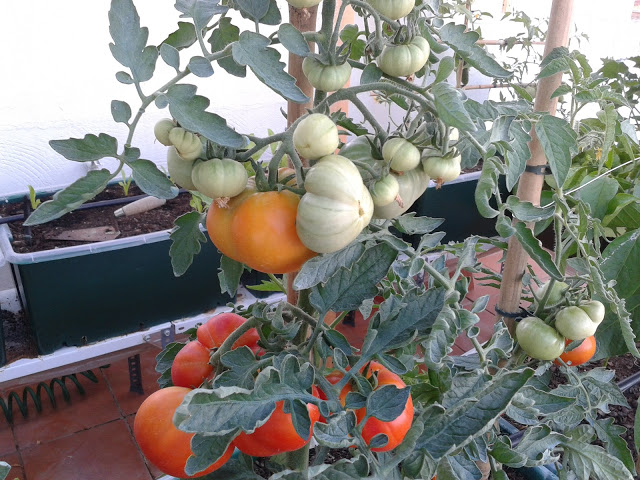 20130615_211421.jpg
