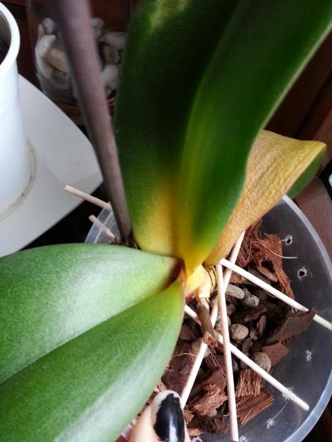 20130620_130534.jpg