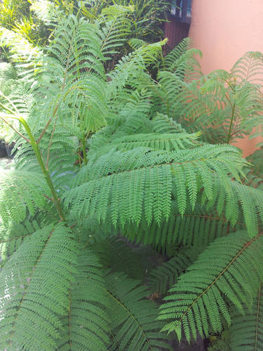 20130628_143408.jpg