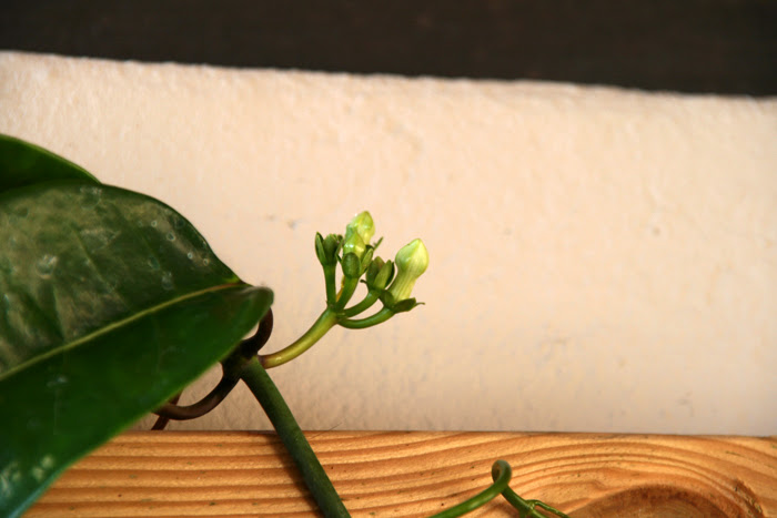 20130630_2.JPG