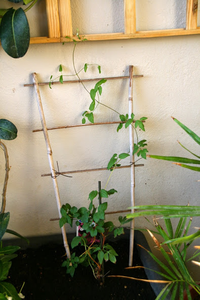 20130630_4.JPG
