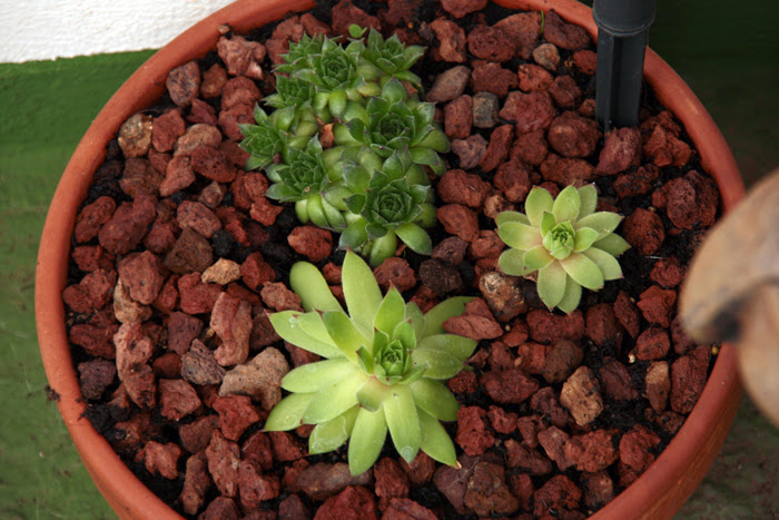 20130630_6.JPG