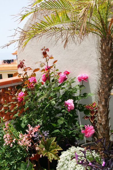 20130703_1.JPG