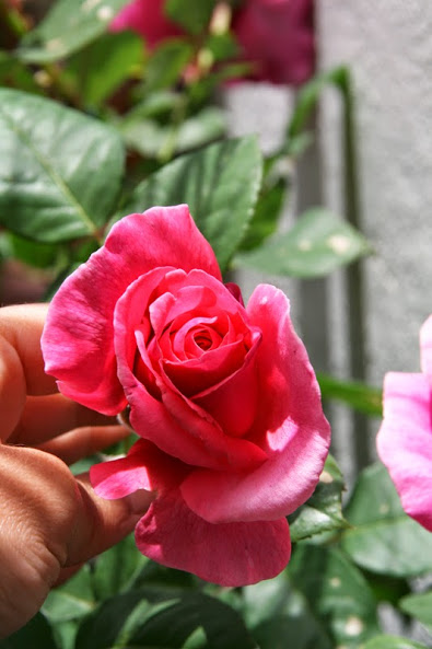 20130703_2.JPG