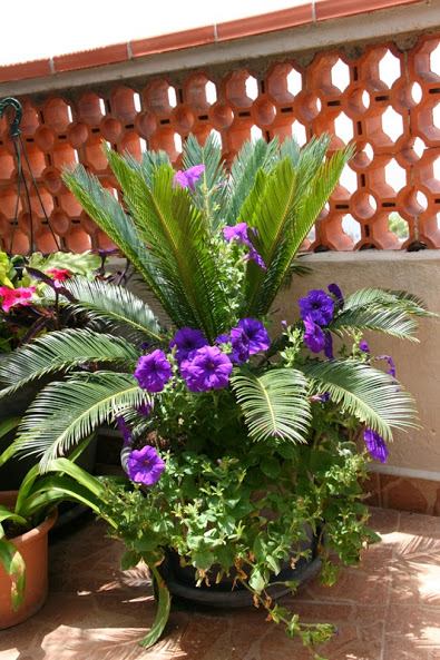 20130703_8.JPG
