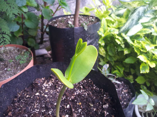 20130704_080645.jpg