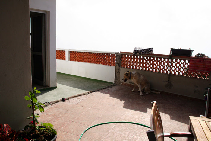 20130713_1.JPG