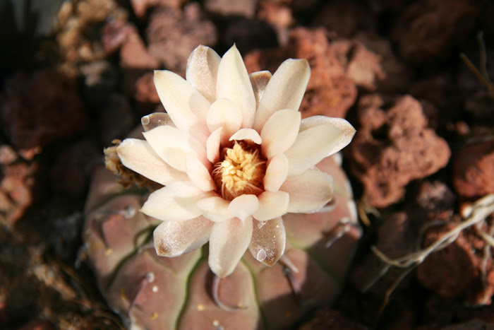 20130713_19.JPG
