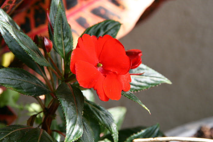 20130713_2.JPG